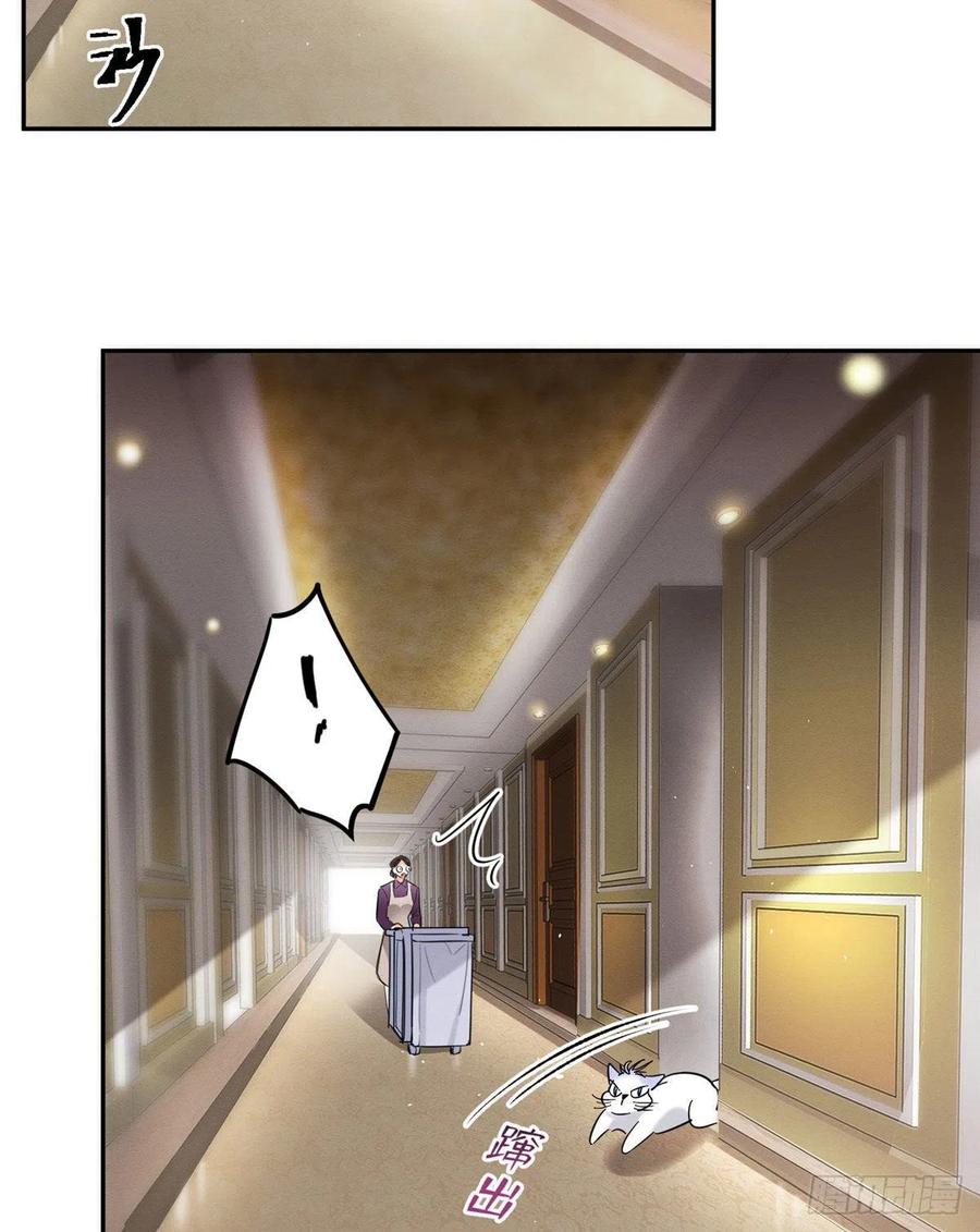 1 Tengo que trabajar duro para ser un gato hoy!