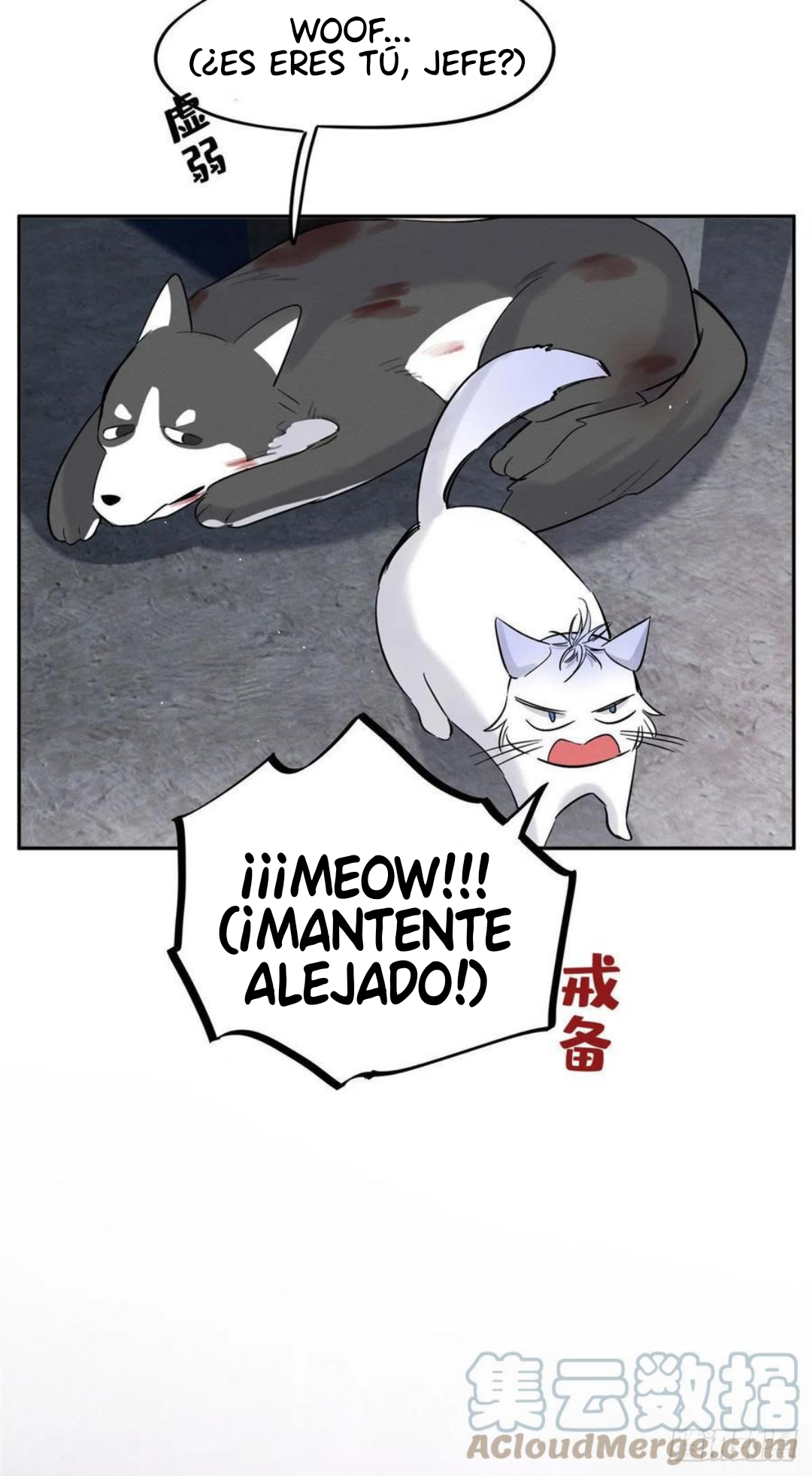 50 Tengo que trabajar duro para ser un gato hoy!