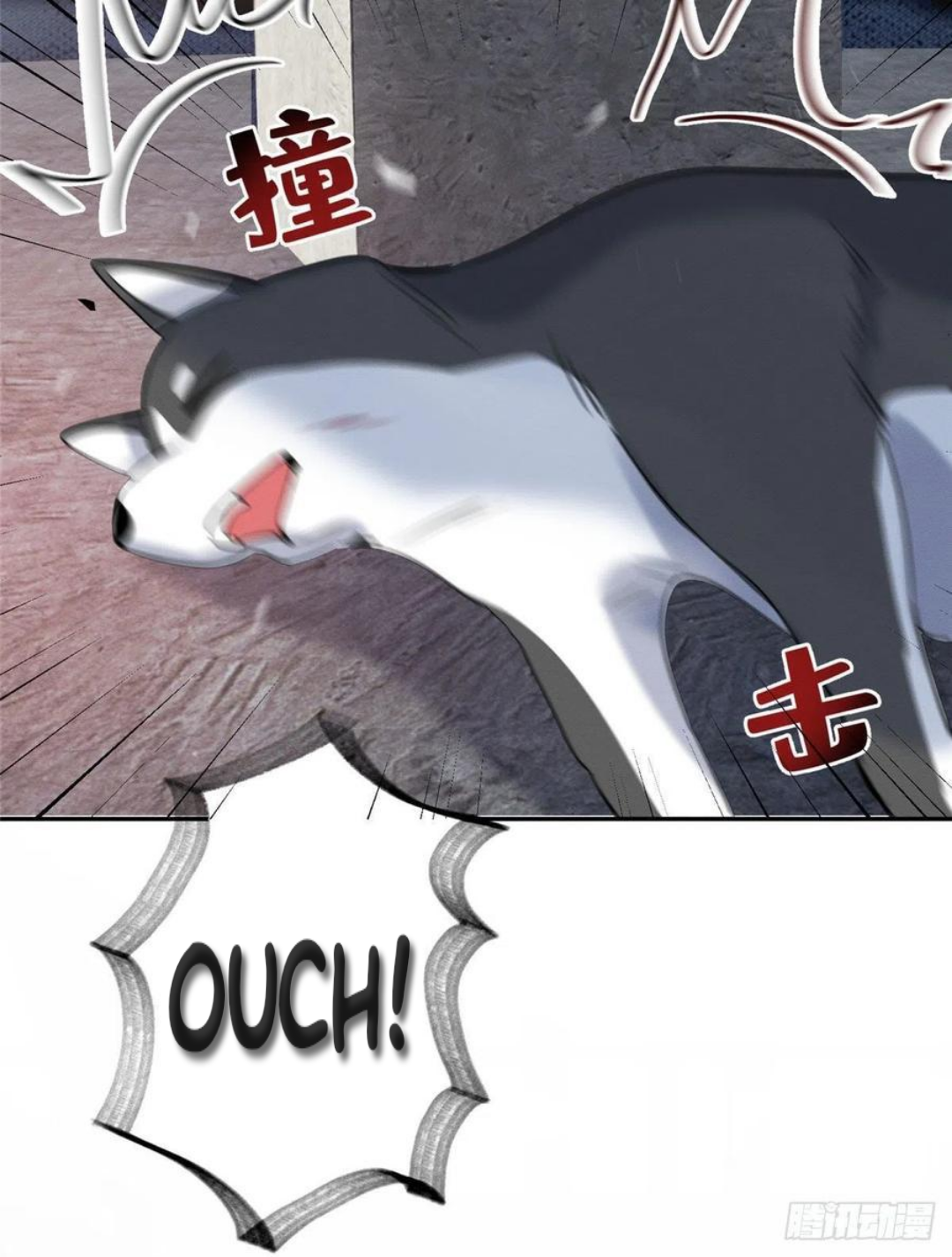 39 Tengo que trabajar duro para ser un gato hoy!