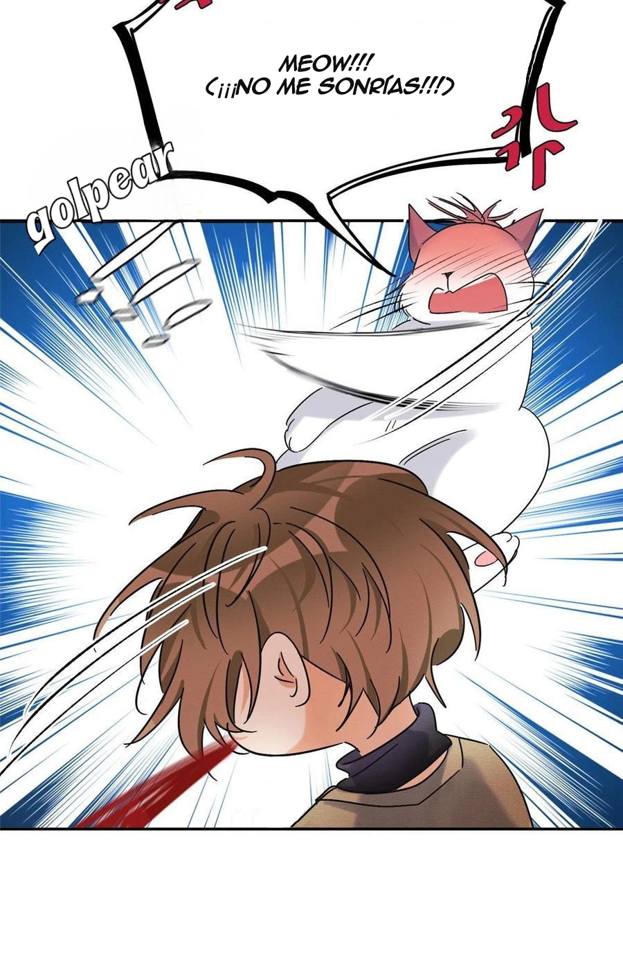 11 Tengo que trabajar duro para ser un gato hoy!