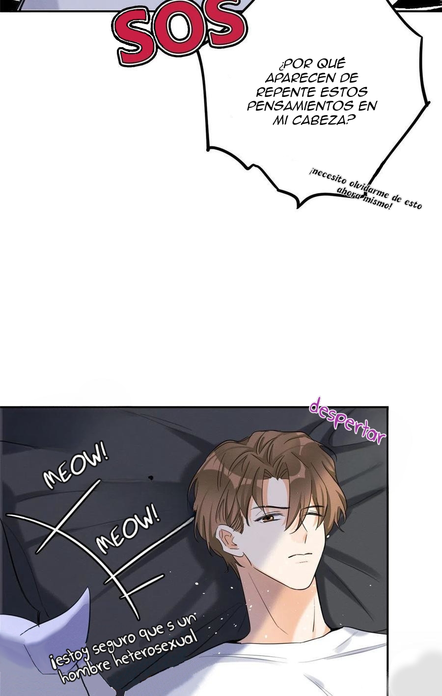 33 Tengo que trabajar duro para ser un gato hoy!