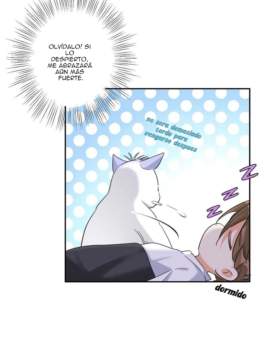 28 Tengo que trabajar duro para ser un gato hoy!