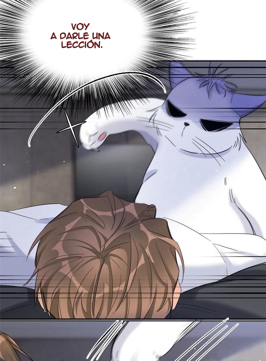 26 Tengo que trabajar duro para ser un gato hoy!