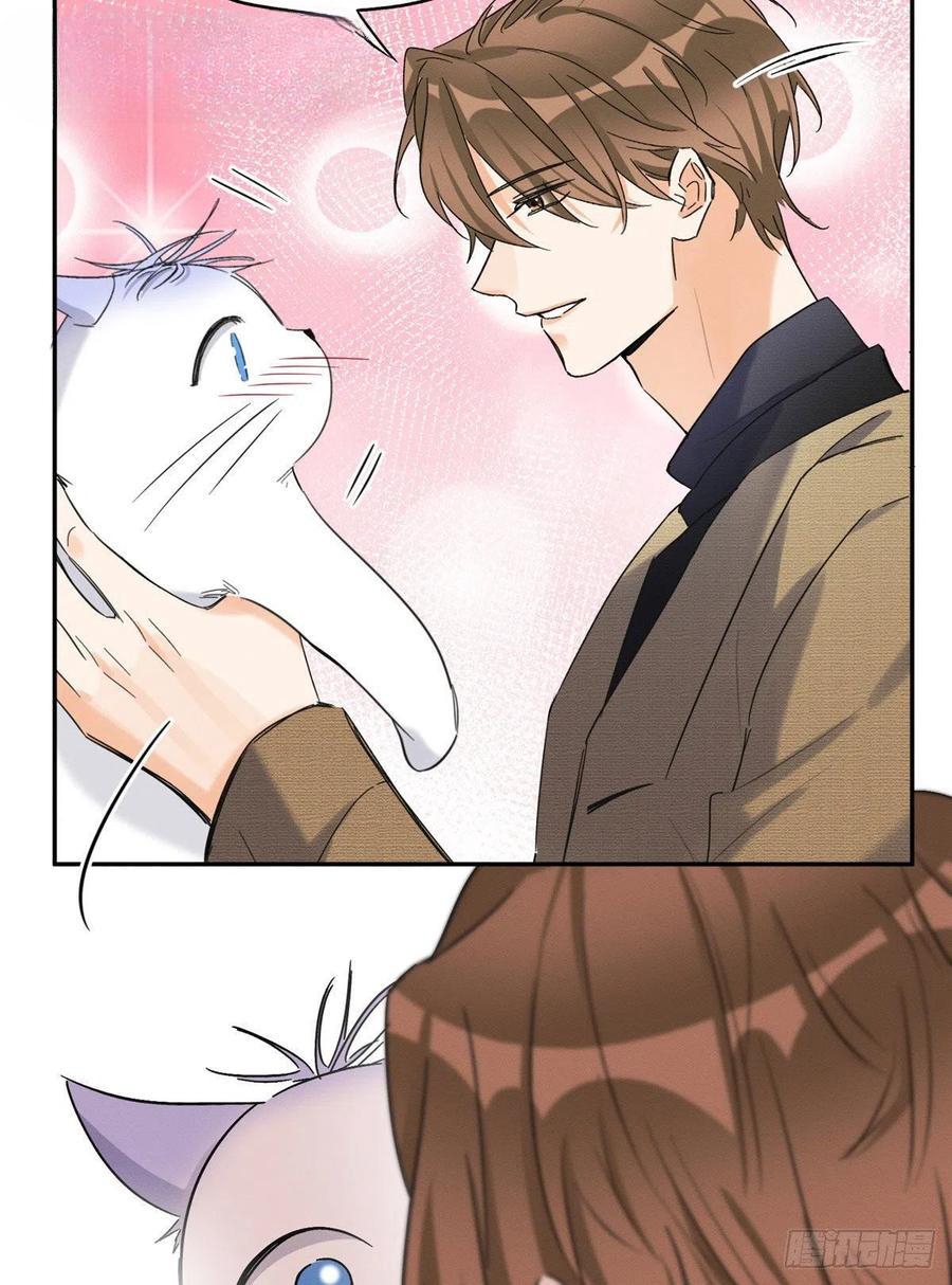 5 Tengo que trabajar duro para ser un gato hoy!