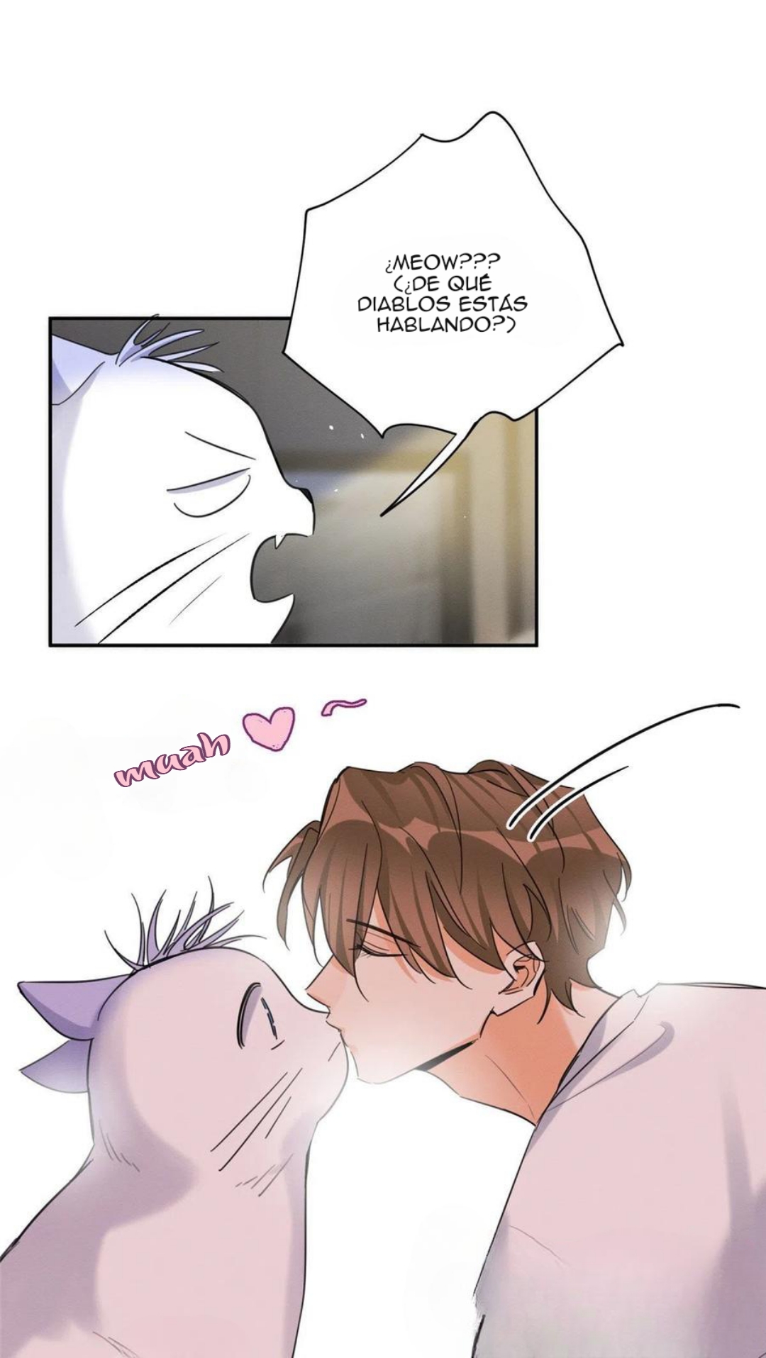 36 Tengo que trabajar duro para ser un gato hoy!