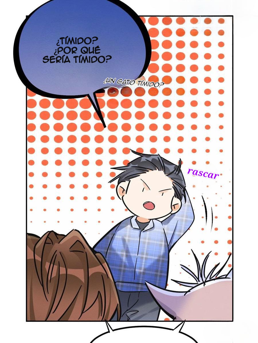 7 Tengo que trabajar duro para ser un gato hoy!