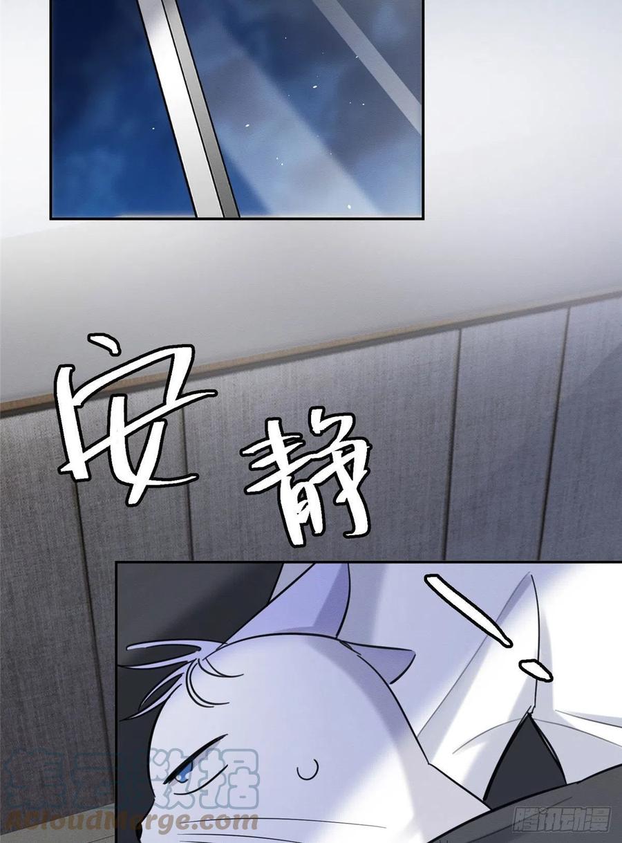 21 Tengo que trabajar duro para ser un gato hoy!