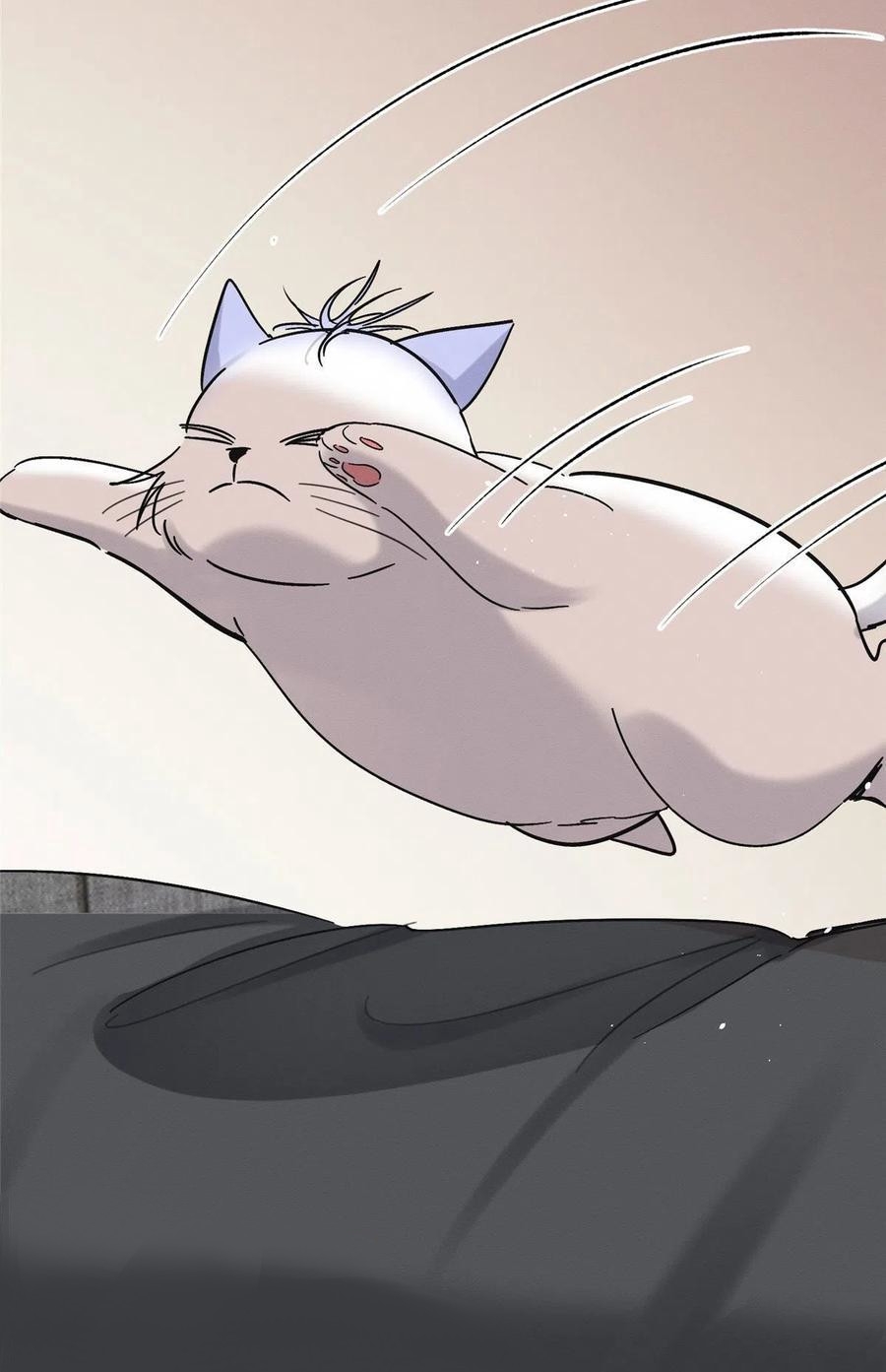 15 Tengo que trabajar duro para ser un gato hoy!