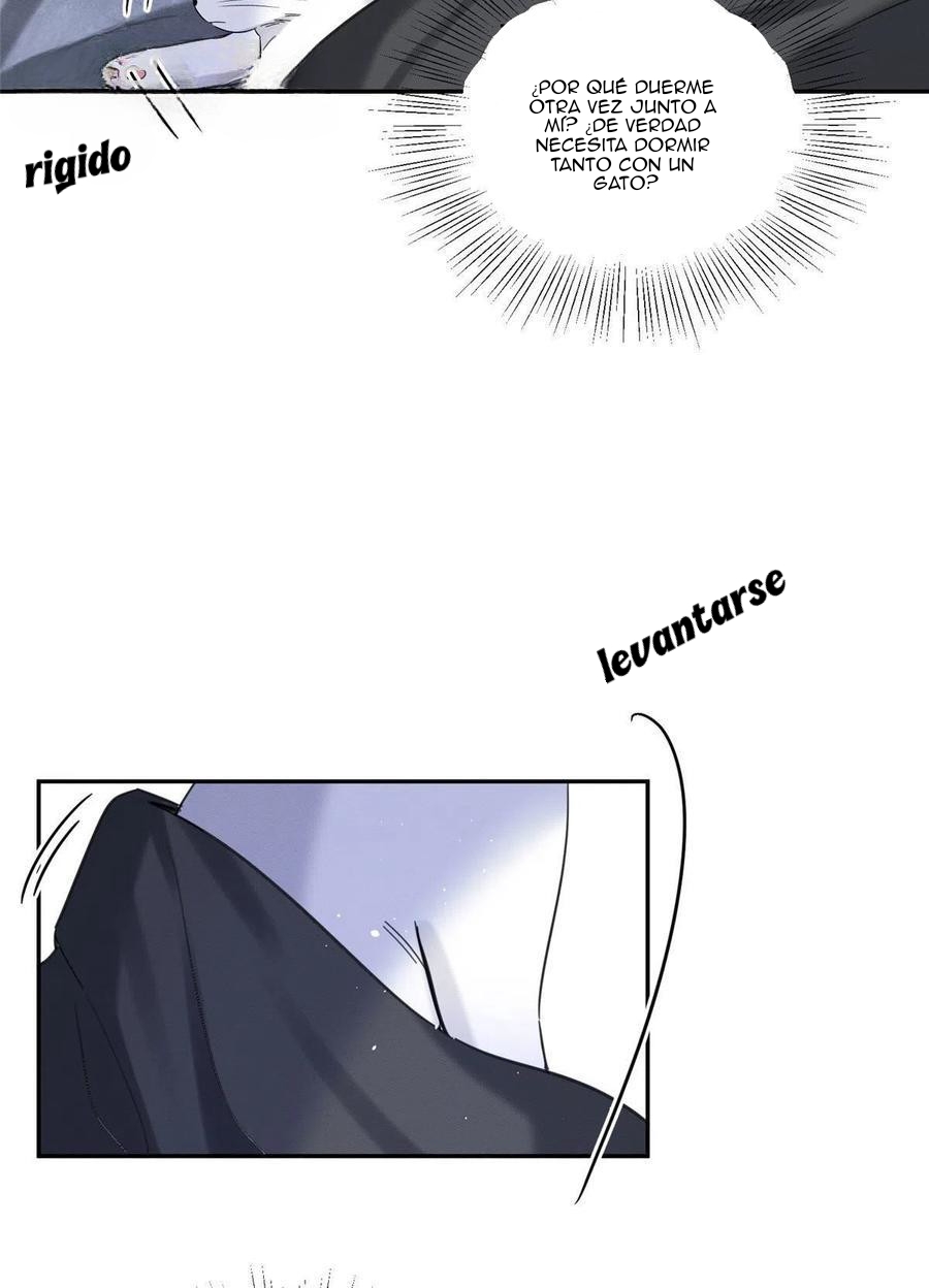 23 Tengo que trabajar duro para ser un gato hoy!