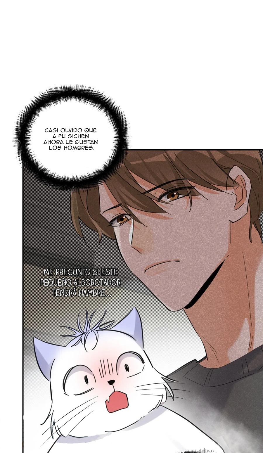 31 Tengo que trabajar duro para ser un gato hoy!