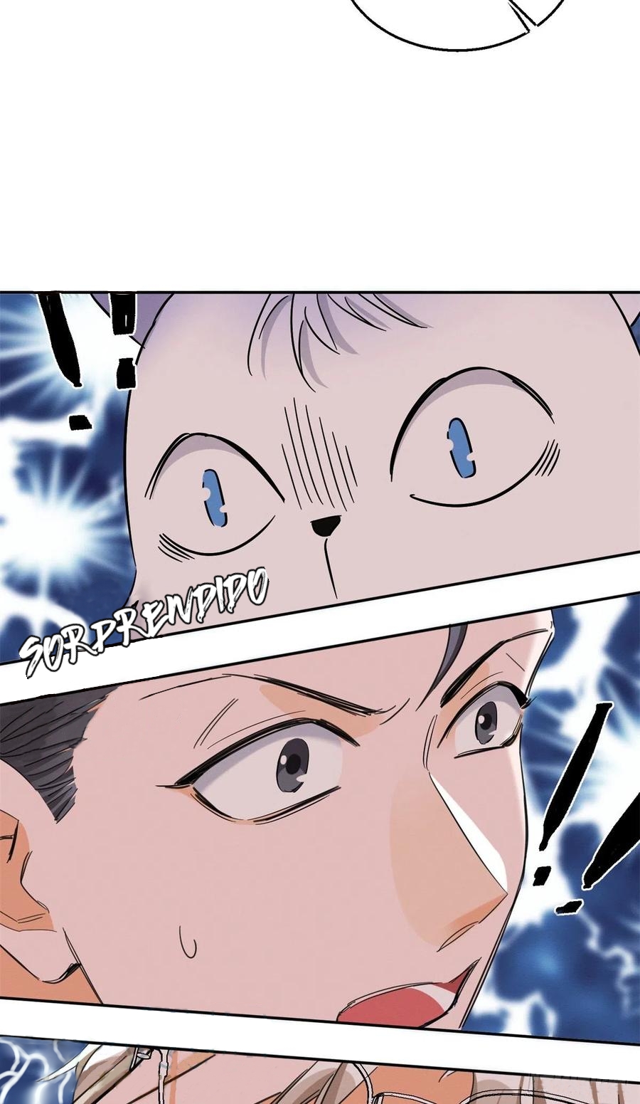 29 Tengo que trabajar duro para ser un gato hoy!