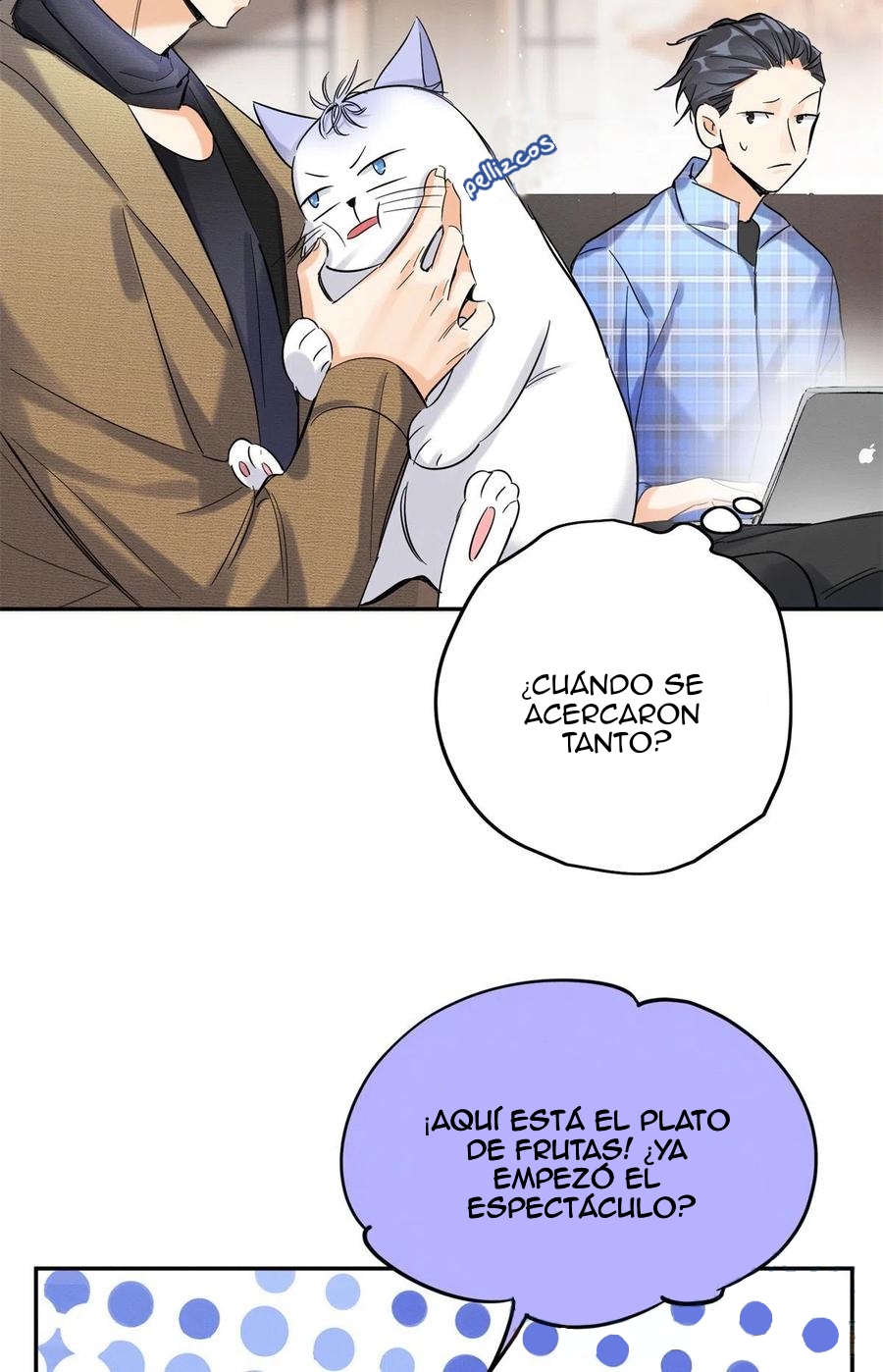 3 Tengo que trabajar duro para ser un gato hoy!