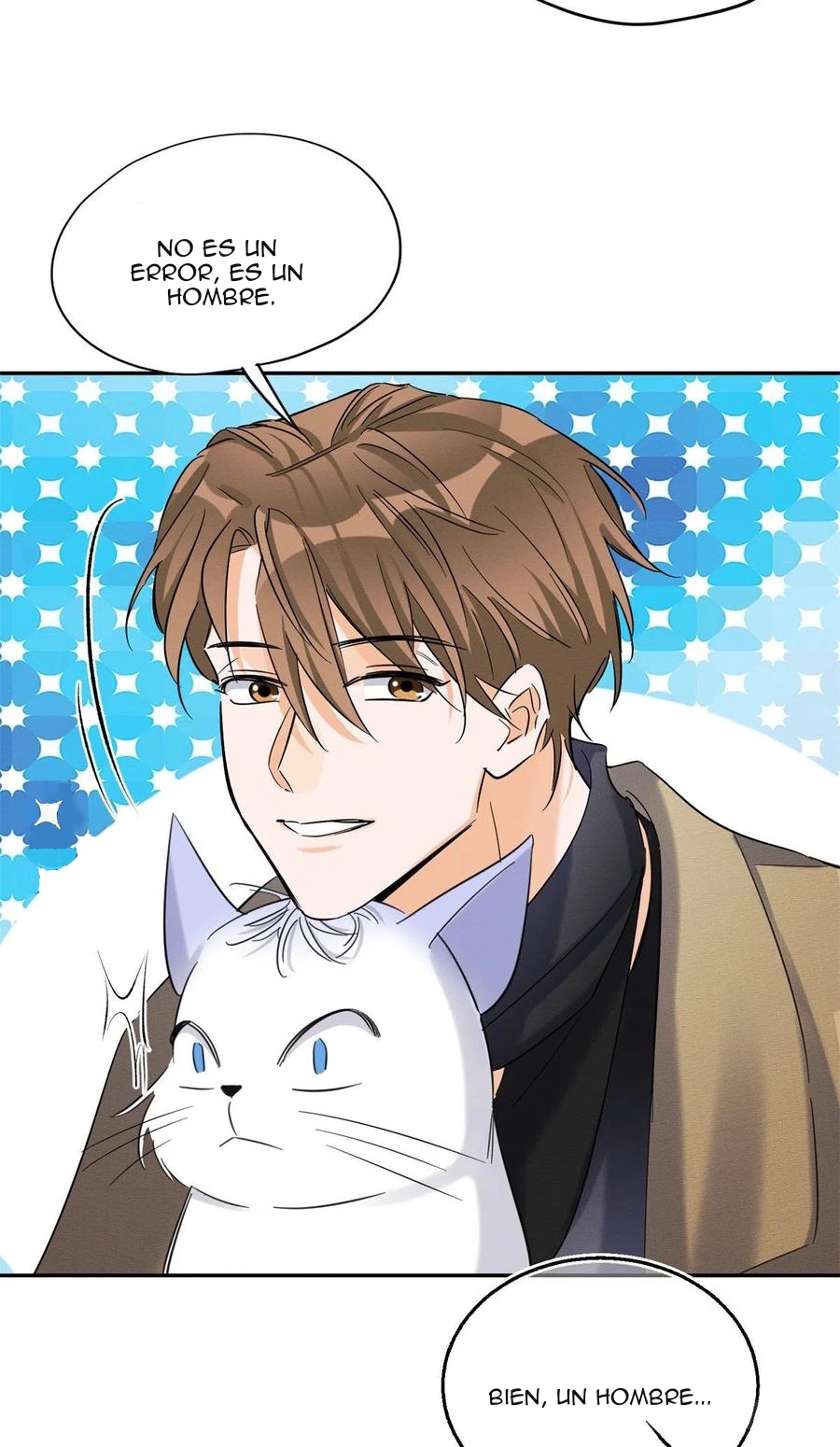 28 Tengo que trabajar duro para ser un gato hoy!