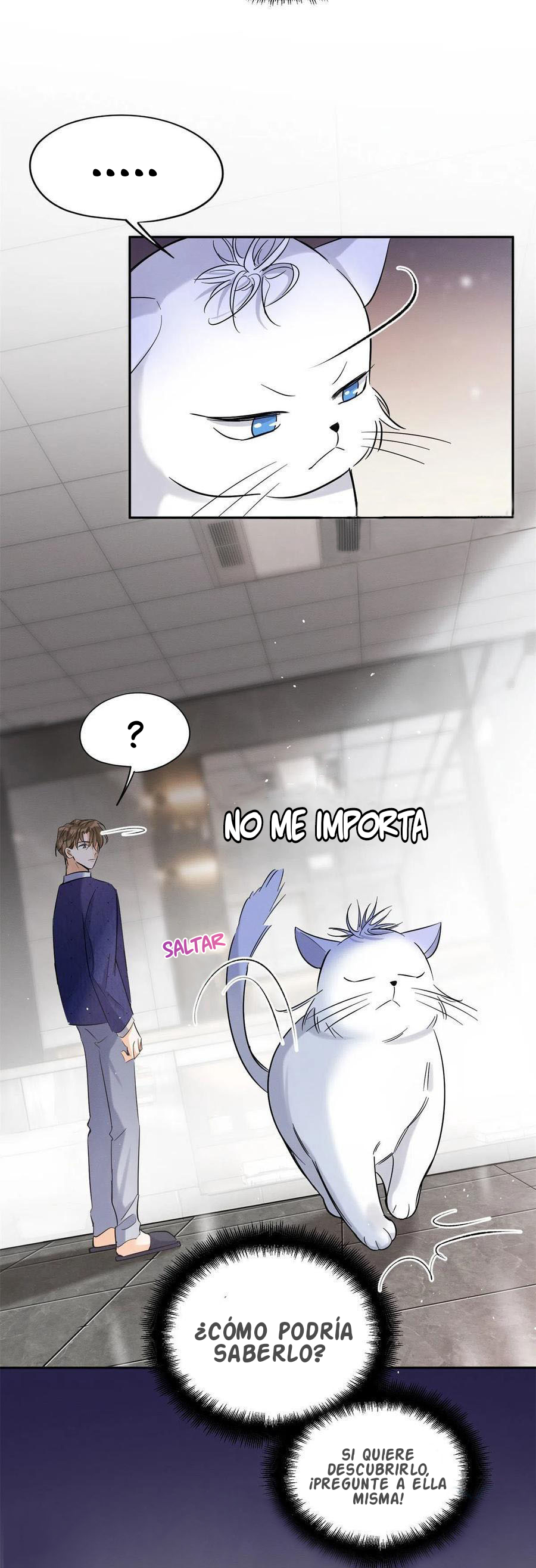 1 Tengo que trabajar duro para ser un gato hoy!