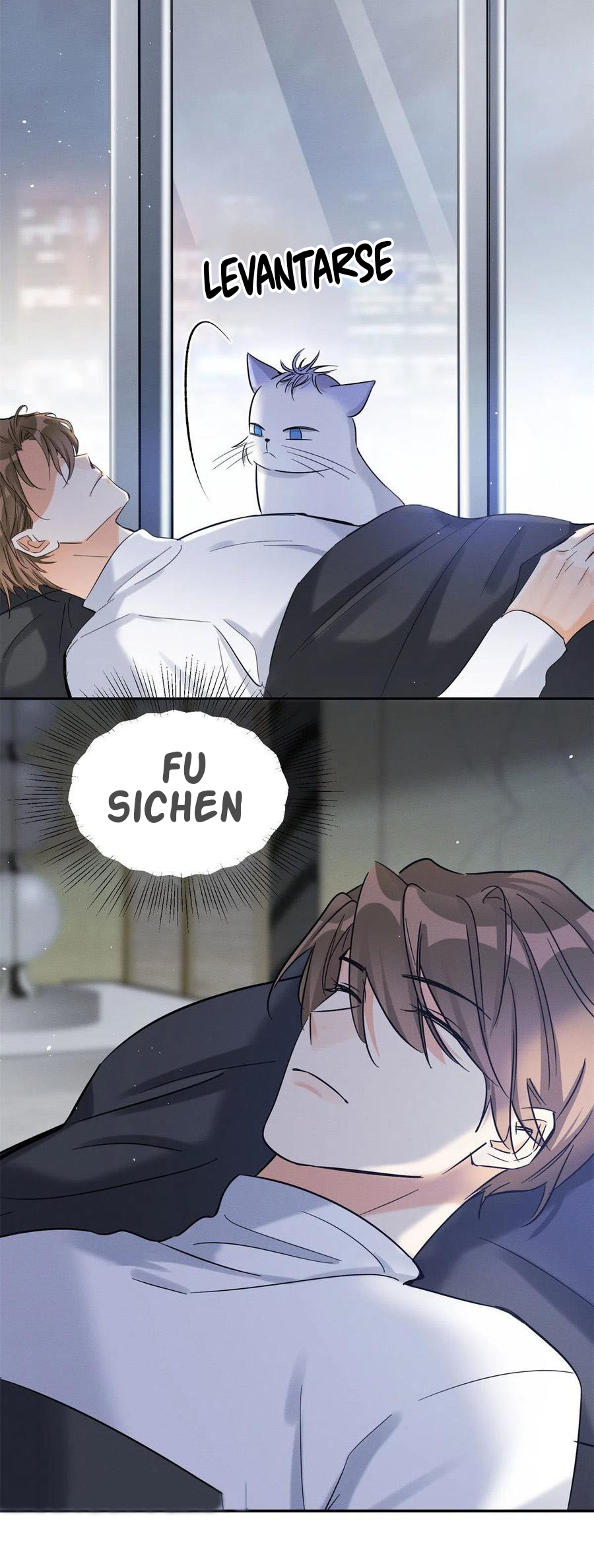 11 Tengo que trabajar duro para ser un gato hoy!