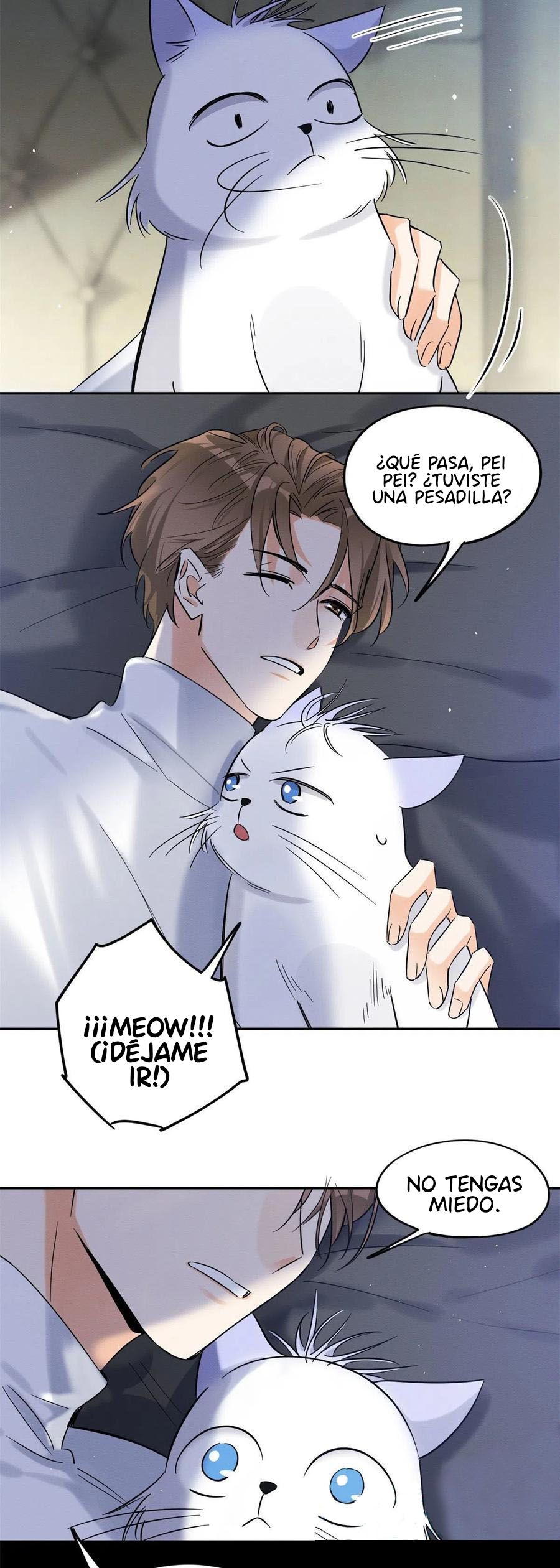 13 Tengo que trabajar duro para ser un gato hoy!