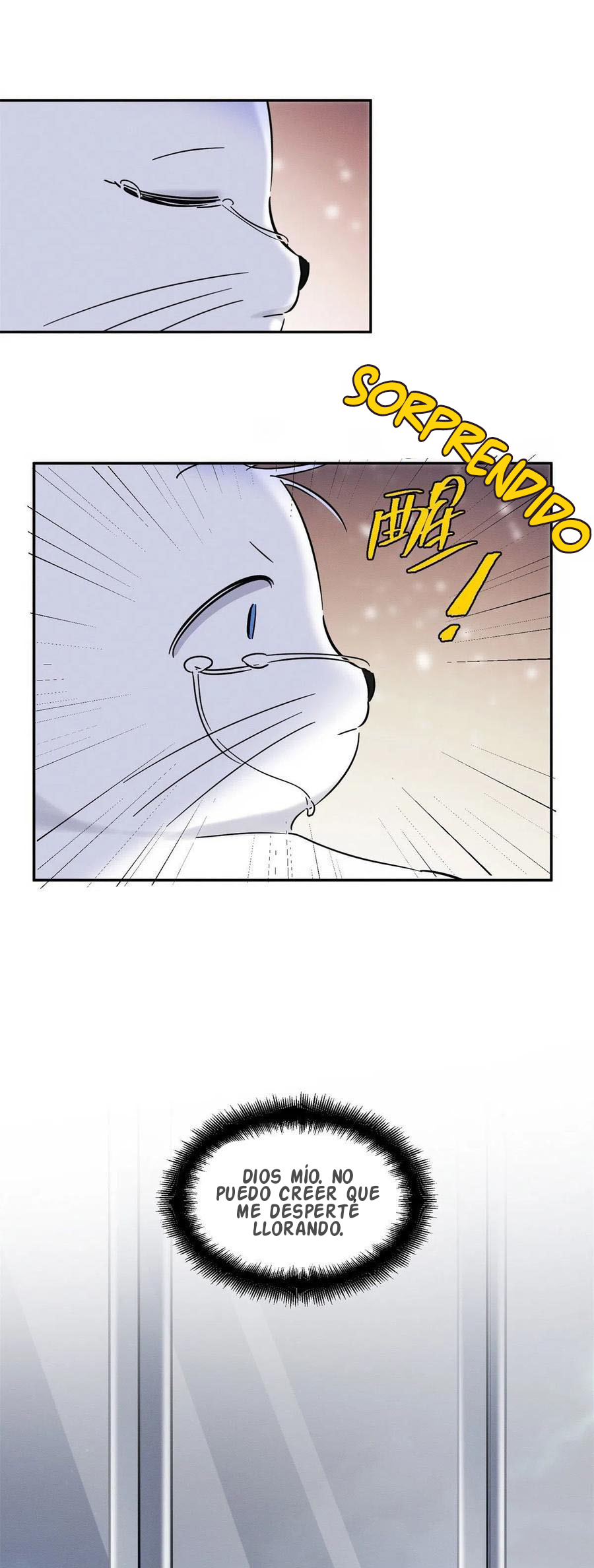 10 Tengo que trabajar duro para ser un gato hoy!