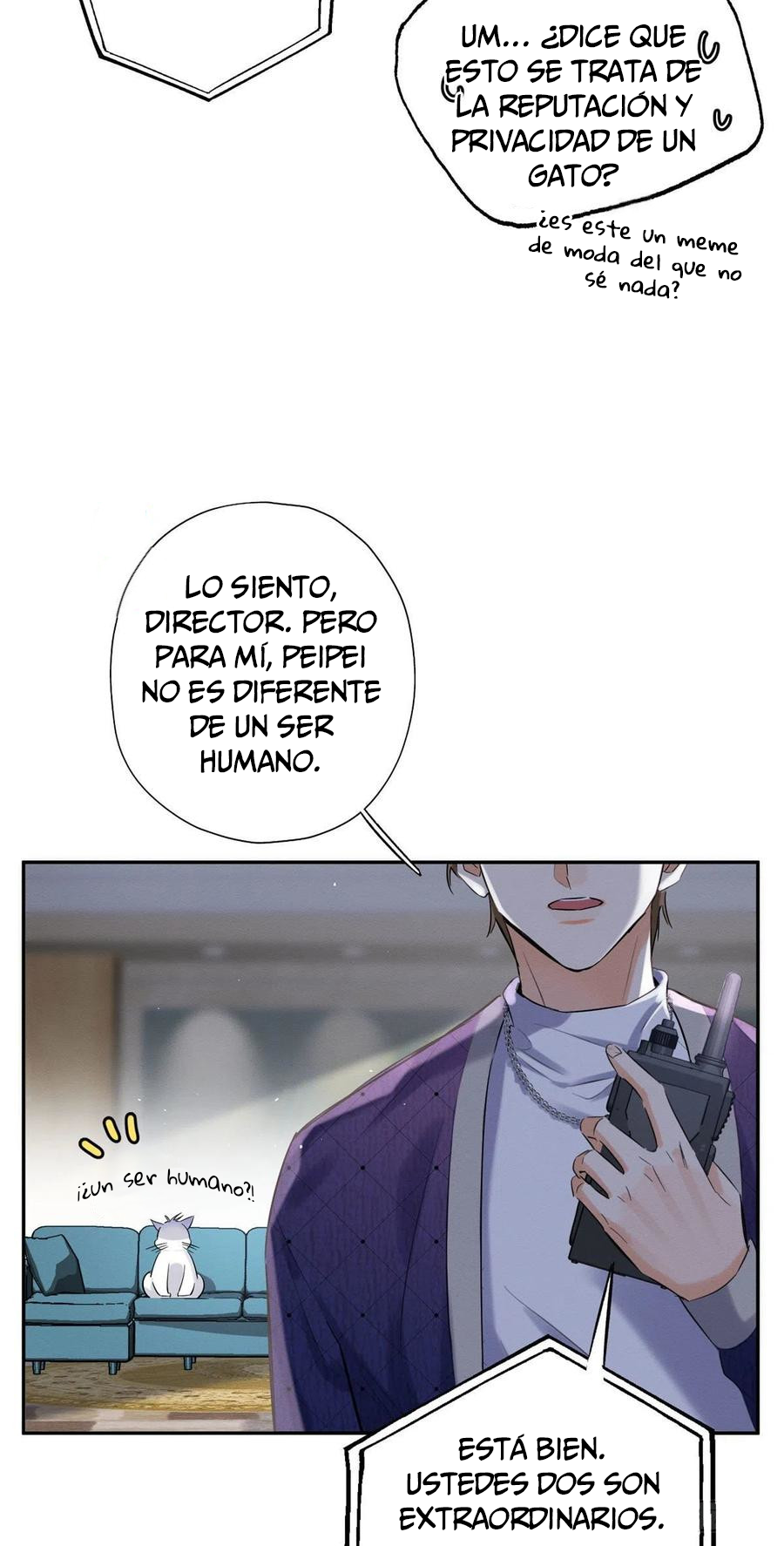 12 Tengo que trabajar duro para ser un gato hoy!