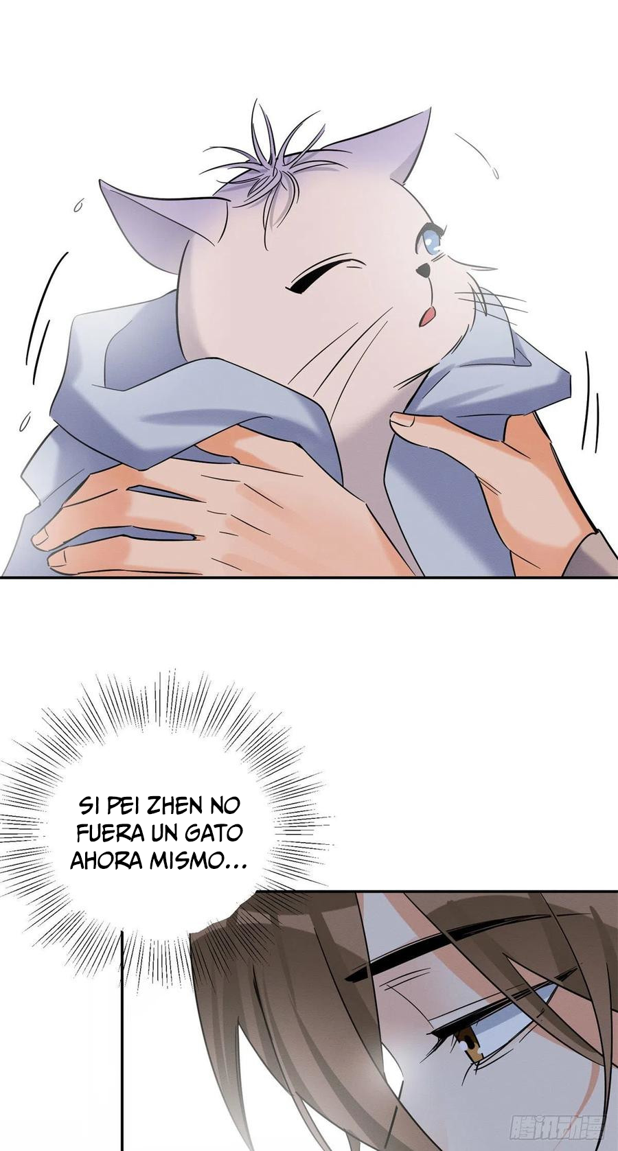 16 Tengo que trabajar duro para ser un gato hoy!