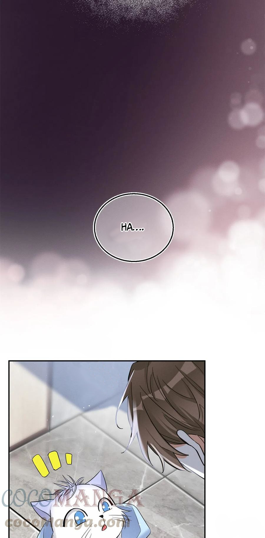 19 Tengo que trabajar duro para ser un gato hoy!