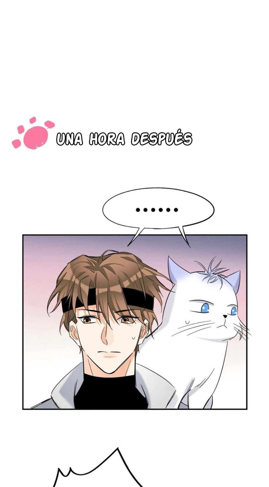 8 Tengo que trabajar duro para ser un gato hoy!