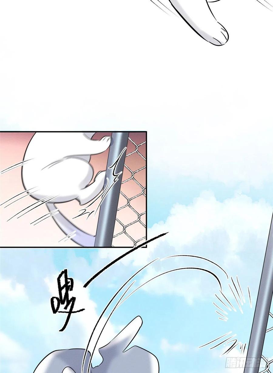 34 Tengo que trabajar duro para ser un gato hoy!