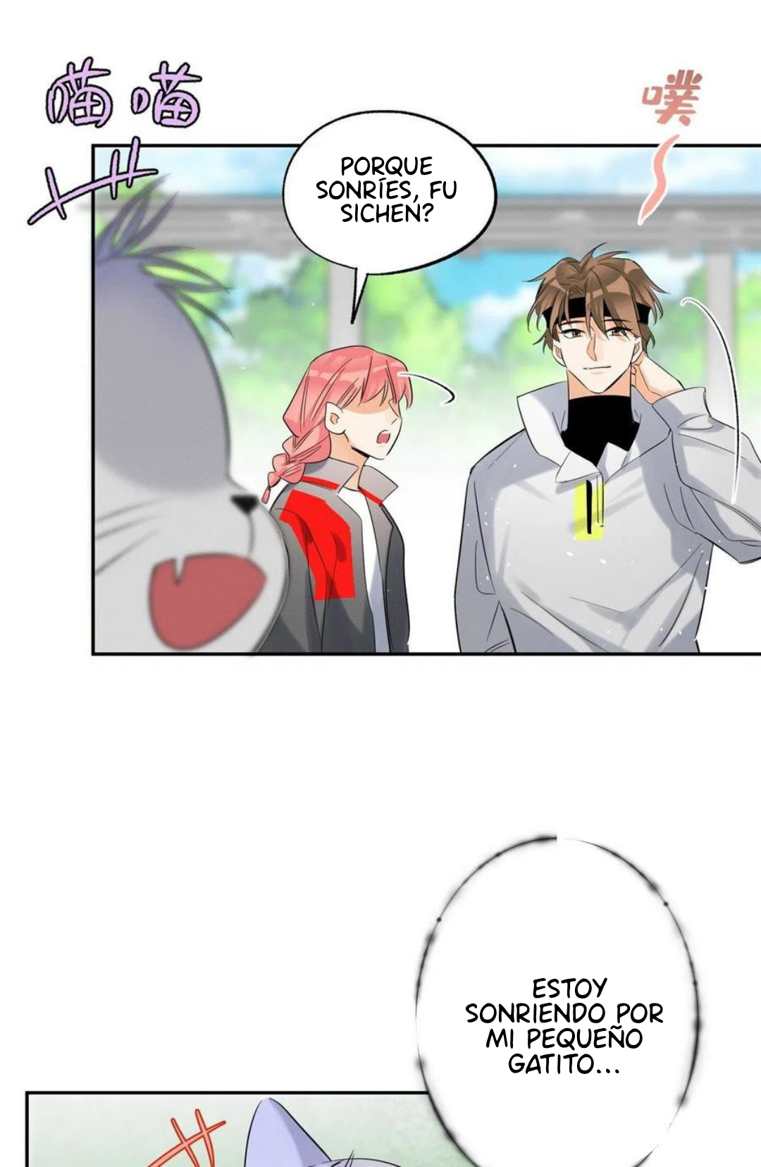 43 Tengo que trabajar duro para ser un gato hoy!