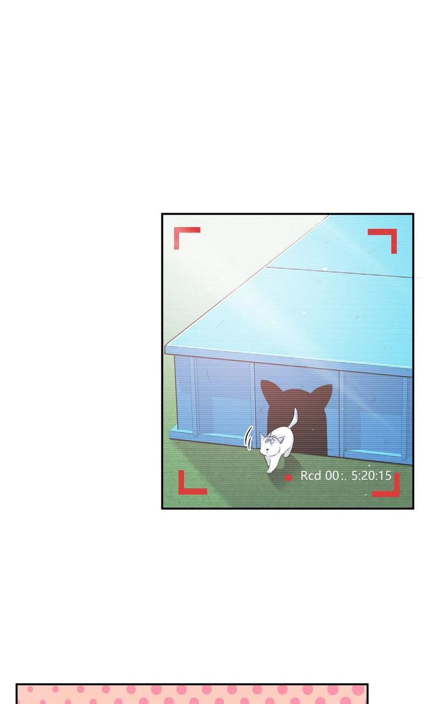 21 Tengo que trabajar duro para ser un gato hoy!