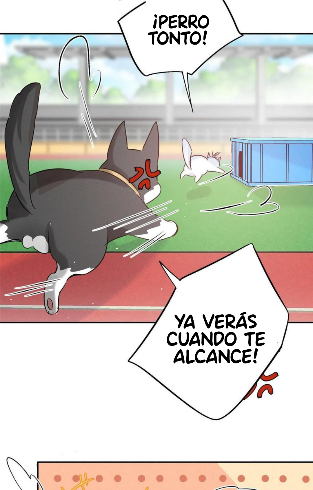 30 Tengo que trabajar duro para ser un gato hoy!