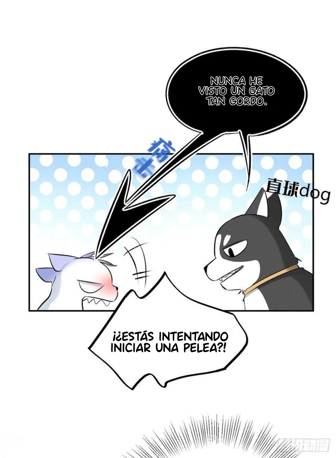 24 Tengo que trabajar duro para ser un gato hoy!