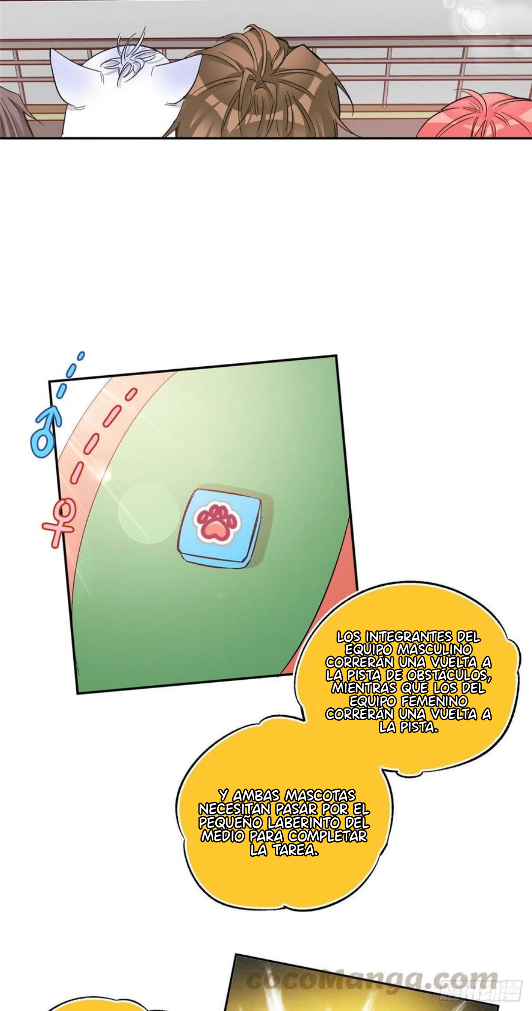 11 Tengo que trabajar duro para ser un gato hoy!