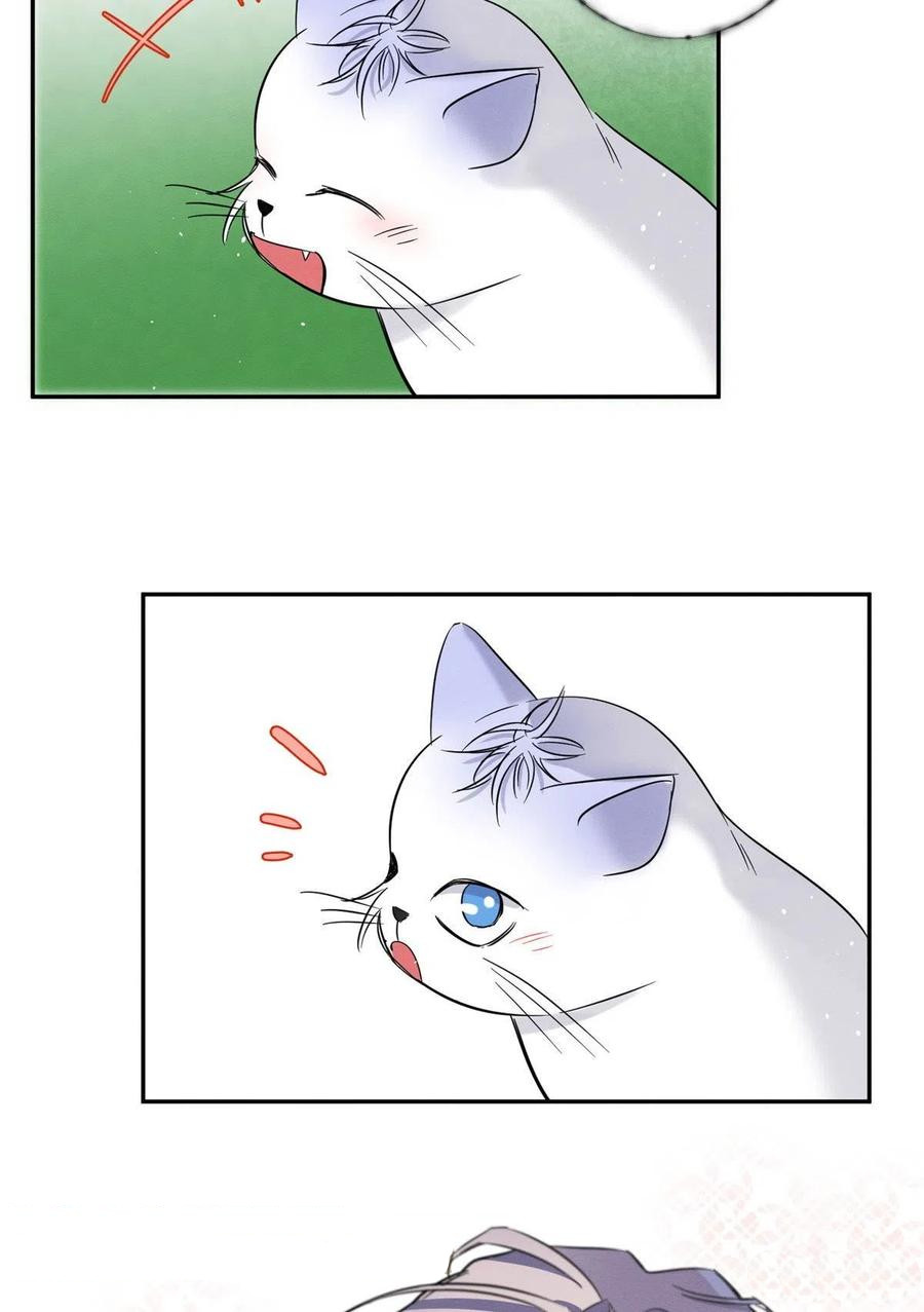 44 Tengo que trabajar duro para ser un gato hoy!