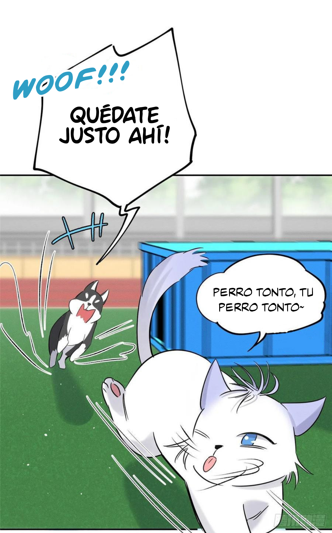 33 Tengo que trabajar duro para ser un gato hoy!