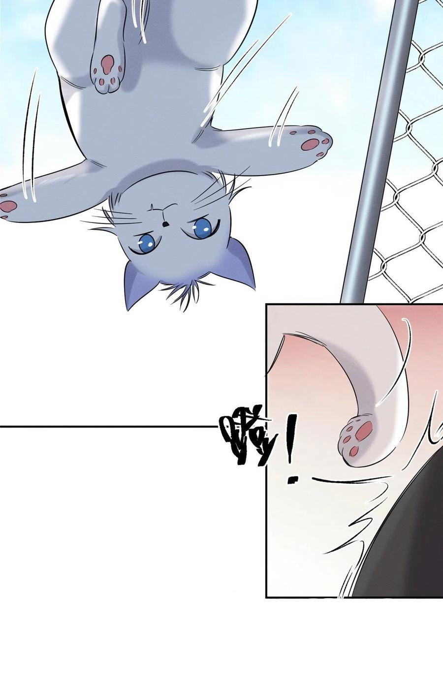 35 Tengo que trabajar duro para ser un gato hoy!