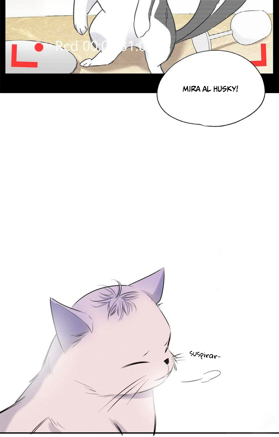 18 Tengo que trabajar duro para ser un gato hoy!