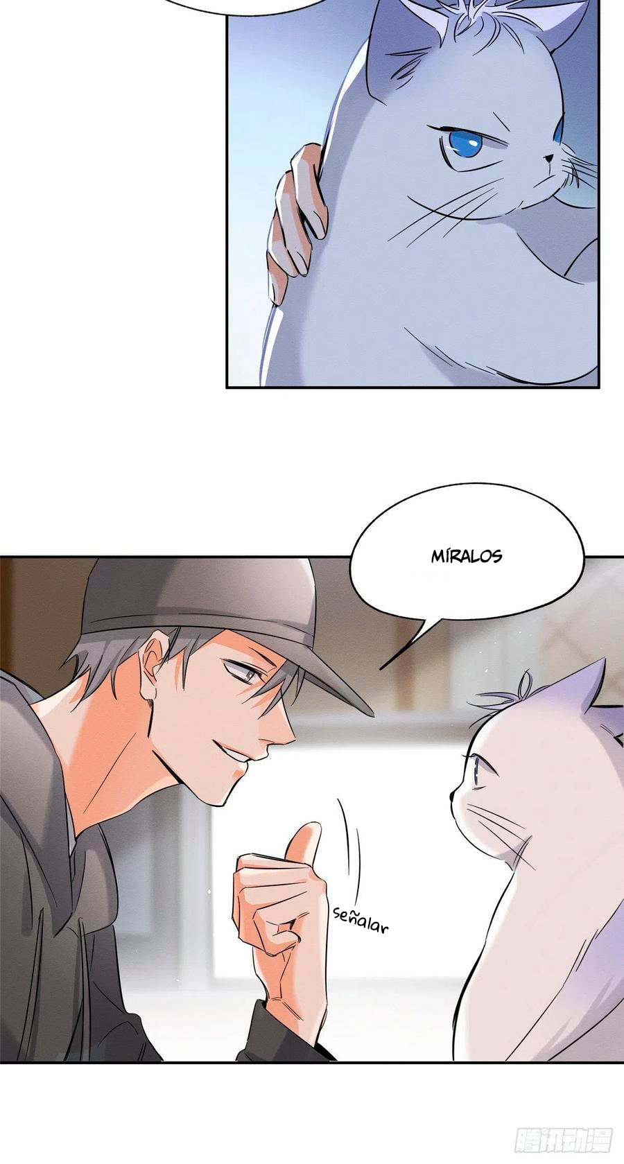 16 Tengo que trabajar duro para ser un gato hoy!