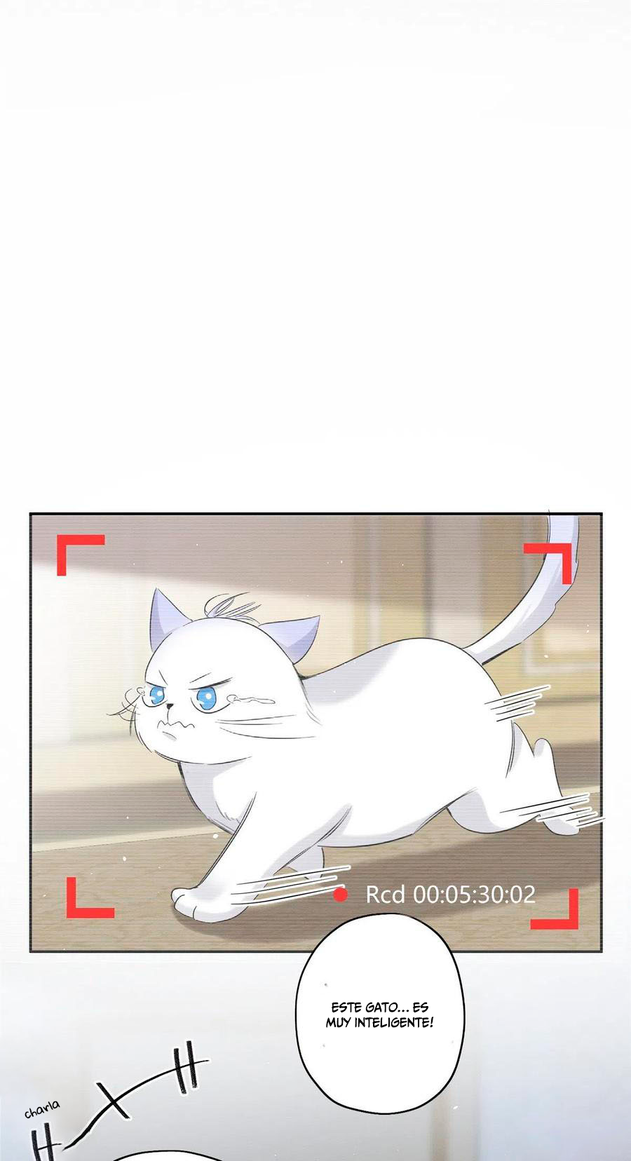 0 Tengo que trabajar duro para ser un gato hoy!