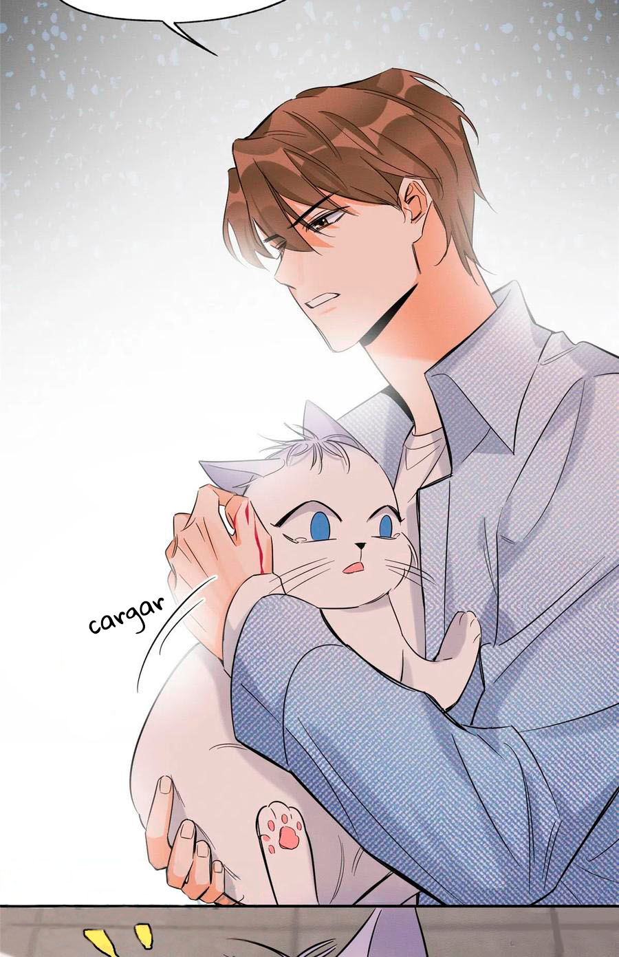 9 Tengo que trabajar duro para ser un gato hoy!