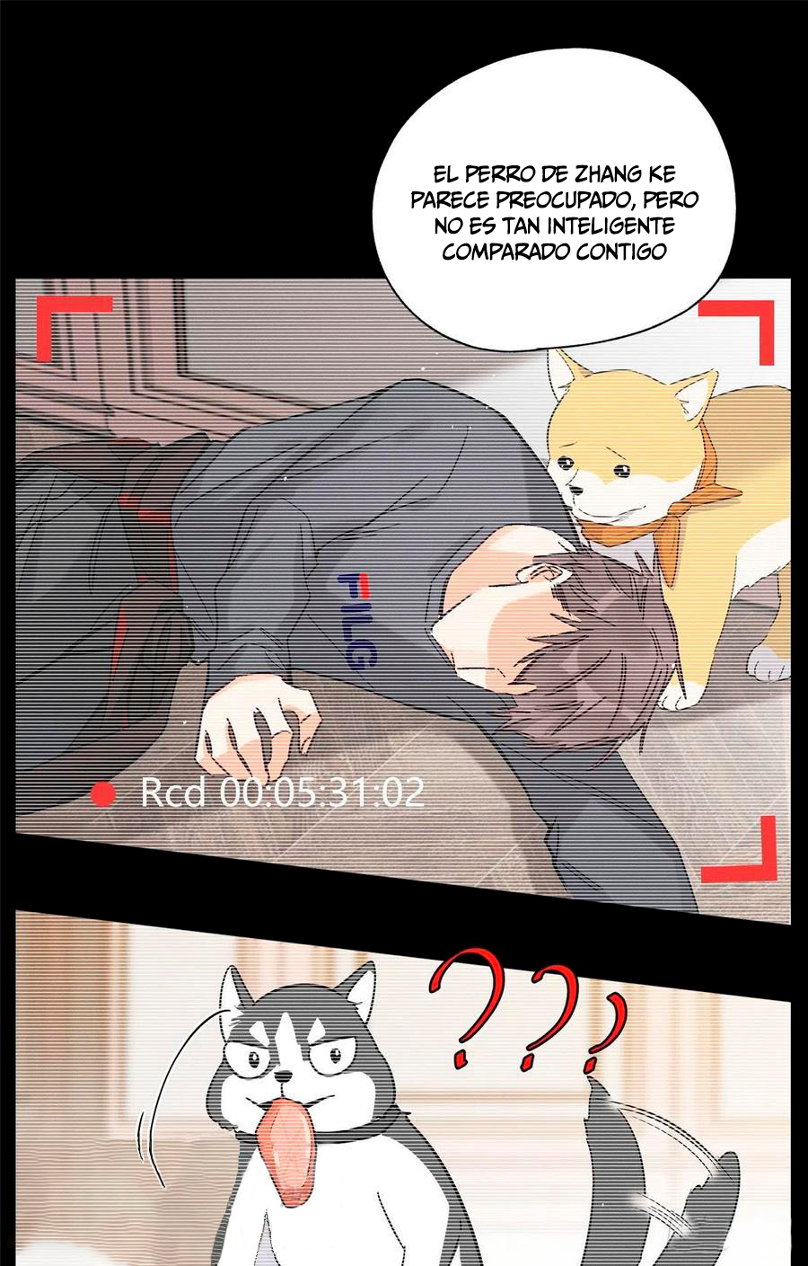 17 Tengo que trabajar duro para ser un gato hoy!