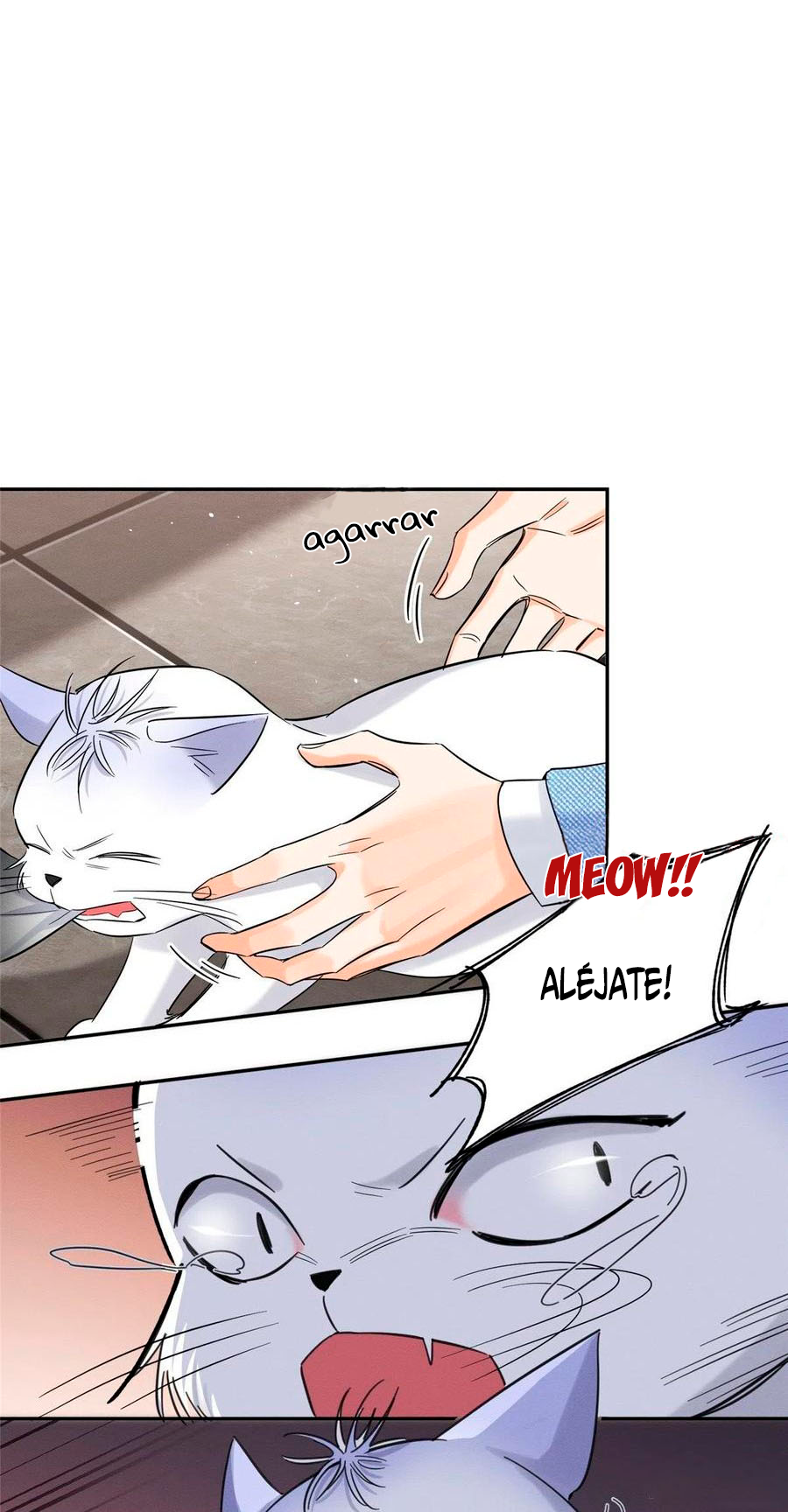 6 Tengo que trabajar duro para ser un gato hoy!