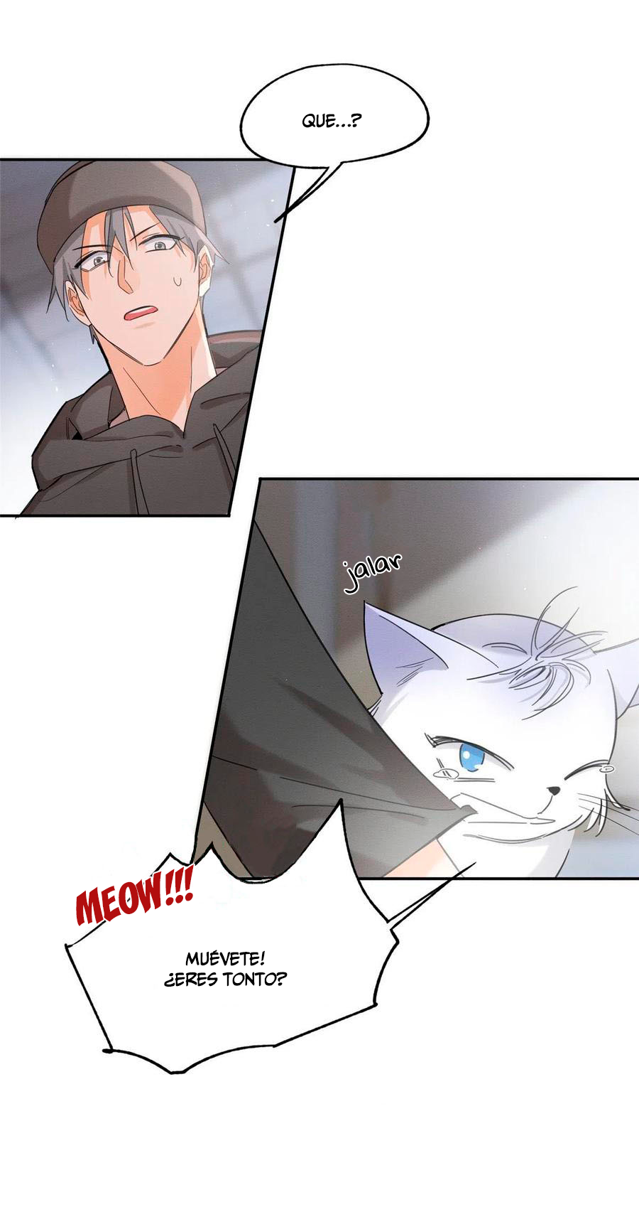 5 Tengo que trabajar duro para ser un gato hoy!