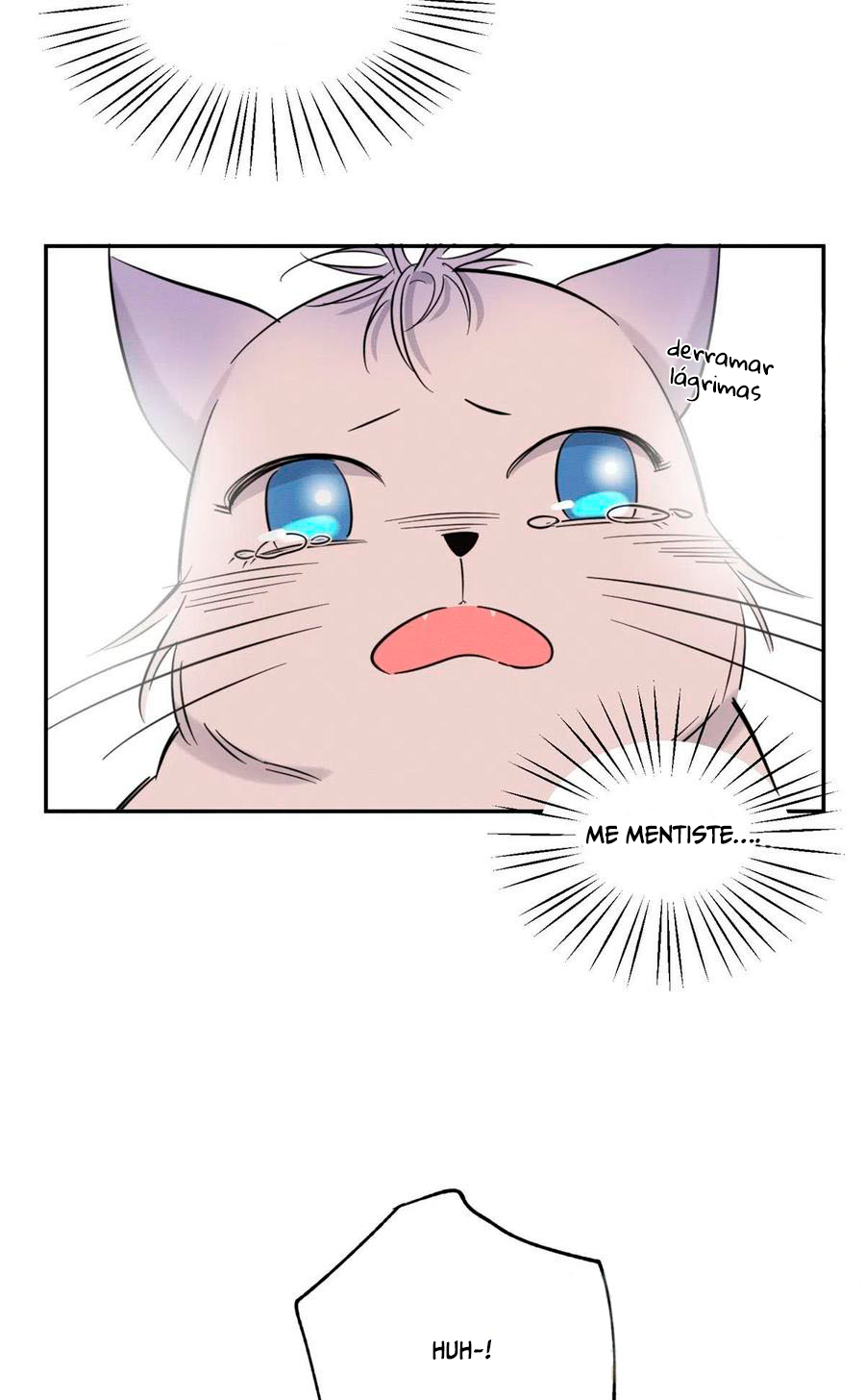 11 Tengo que trabajar duro para ser un gato hoy!