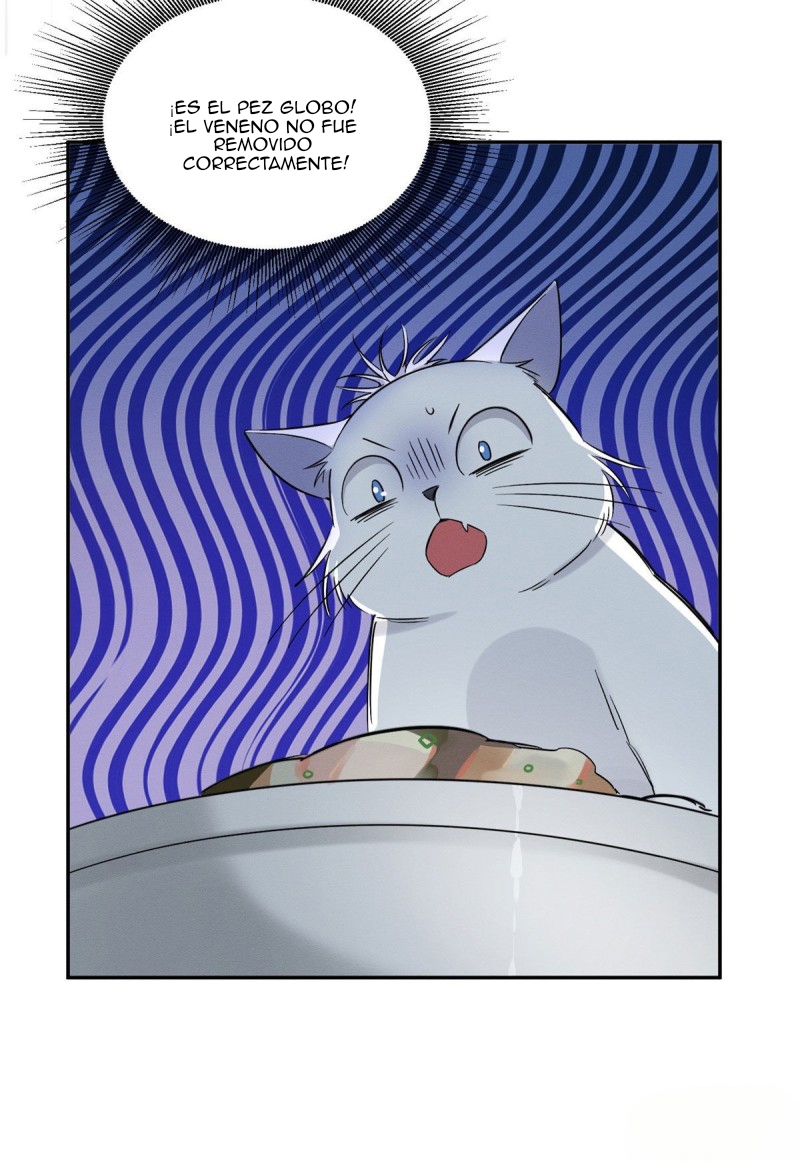 34 Tengo que trabajar duro para ser un gato hoy!