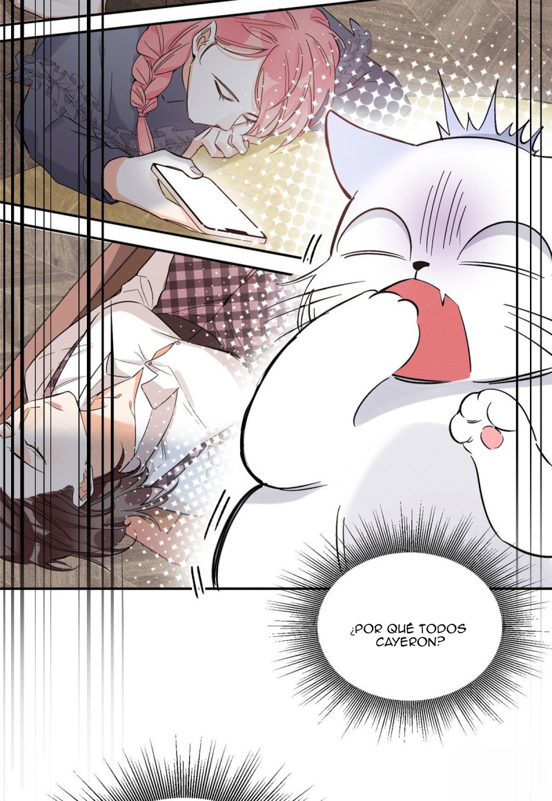 33 Tengo que trabajar duro para ser un gato hoy!