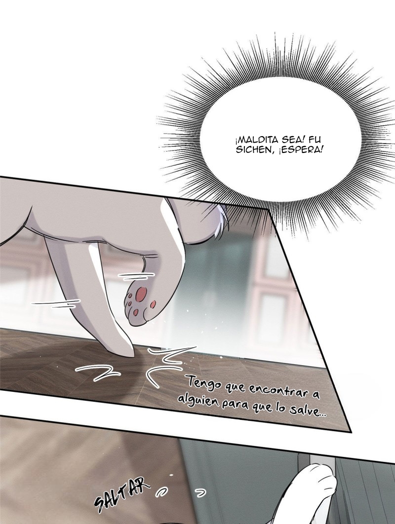 39 Tengo que trabajar duro para ser un gato hoy!