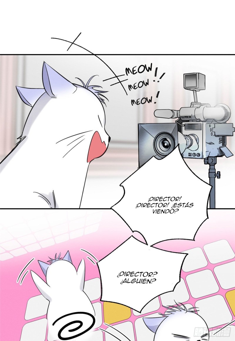 35 Tengo que trabajar duro para ser un gato hoy!