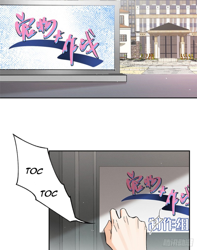 1 Tengo que trabajar duro para ser un gato hoy!