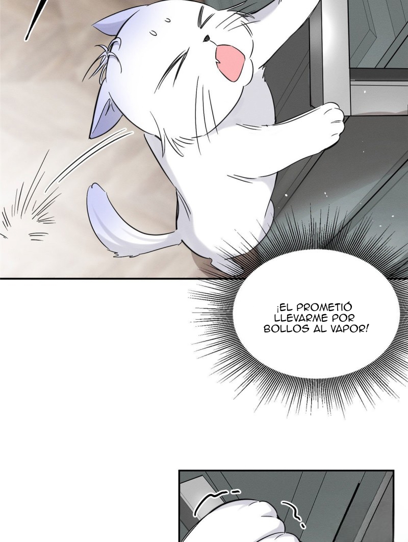 40 Tengo que trabajar duro para ser un gato hoy!