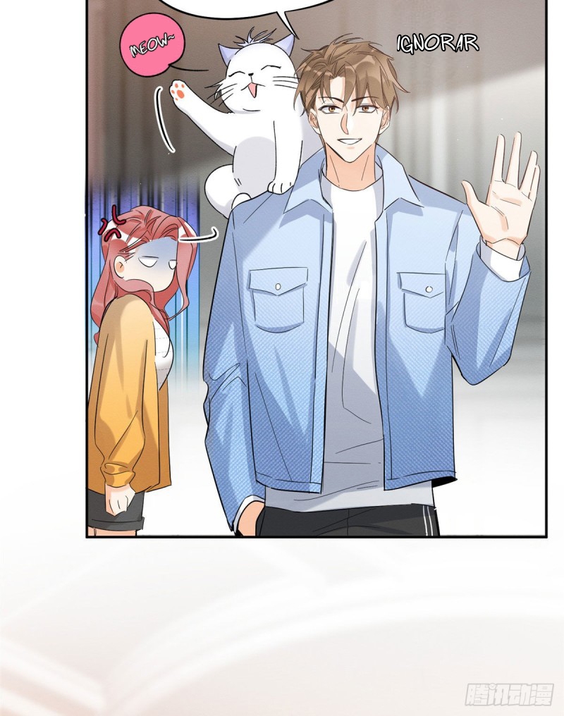 6 Tengo que trabajar duro para ser un gato hoy!