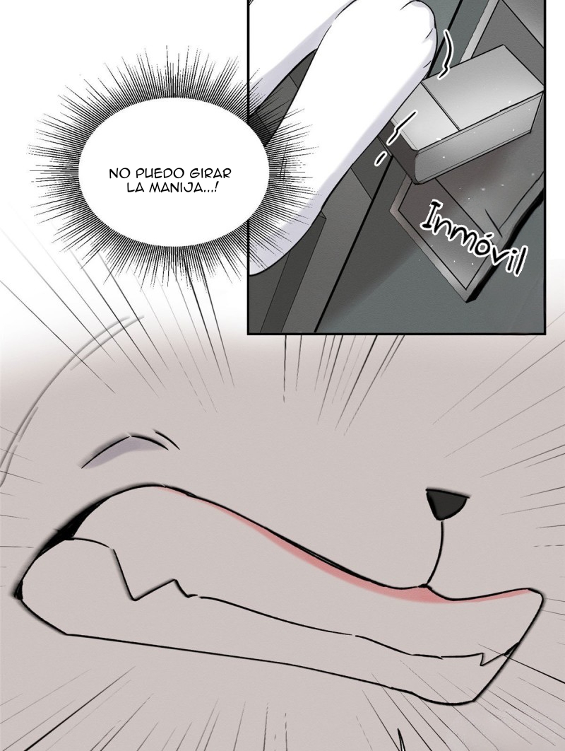 41 Tengo que trabajar duro para ser un gato hoy!